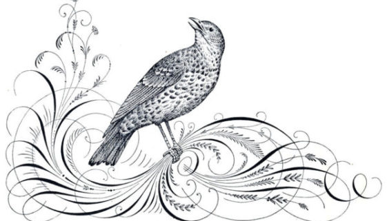 victorian bird fancy scroll design